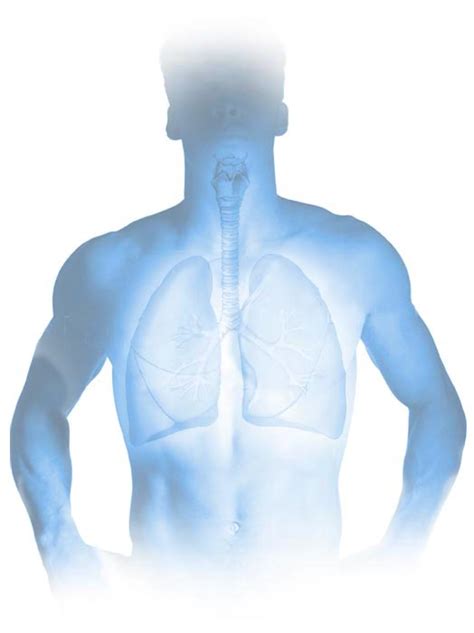 fisioterapia respiratoria en el epoc