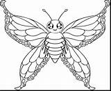 Butterfly Drawing Getdrawings sketch template