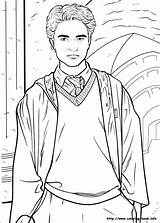 Potter Cedric sketch template