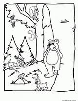 Forest Coloring Animals Animal Printable Bear Pages Kids Woodland Print Clipart Preschool Children Sheets Drawing Habitat Colouring Animaljr Fastseoguru Search sketch template