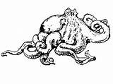 Octopus Coloring Pages Drawing Kids Printable Realistic Sea Getdrawings Animals Ocean Popular sketch template