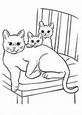 Coloring Kitten Pages Family Printable Kids sketch template