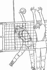 Voleibol Colornimbus Voleyball sketch template