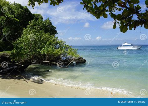 tropical island cayo levantado  samana stock image image  coast turquoise