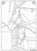Kleurplaten Manege Paarden Ausmalbilder Stall Pferde Paard Reitschule Malvorlagen Tekeningen Leukste Altijd Eerst Animaatjes Bezoeken sketch template