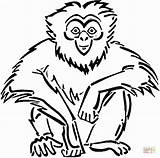 Coloring Orangutan Pages Comments Coloringhome sketch template