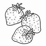 Strawberry Strawberries Coloring Pages Drawing Three Top Fruits Little Drawings Fruit Getdrawings Designlooter Momjunction 22kb 230px sketch template