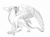 Gryphon Griffin Drawing Mythical Coloring Creatures Pages Drawings Izora Gryphons Deviantart Creature Griffins Wings Sketches Animal Color Fantasy Phoenix Cool sketch template