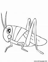 Grasshopper Coloring Pages Cute Printable Color Print sketch template