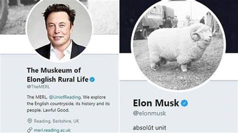 ‘absolute Unit’ Tweet Earns Brit A Job At Tesla Financial Times
