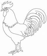 Rooster Printable Drawing Coloring Pages Drawings Kids Painting Animal Sheets Fight Roosters Colouring Print Chicken Patterns Book Line Cute Pattern sketch template
