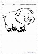 Porco Animais Atividades Amizade Educação Espécies Fazenda sketch template