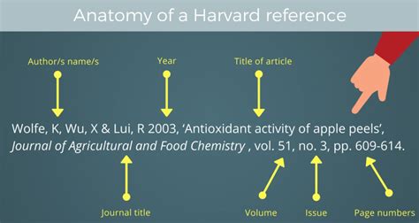 harvard referencing style  sources clipart