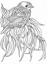 Birds Bird Coloring Pages Adult Printable Sheets Embroidery Books Patterns Colouring Adults Designs Animals Book Drawing Pattern Amazon Animal Mandala sketch template