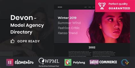 Model Website Templates From Themeforest