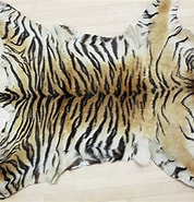 武闘虎の毛皮 に対する画像結果.サイズ: 178 x 185。ソース: www.eijyudou.com