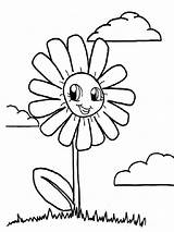 Chamomile Coloring Flower Pages sketch template