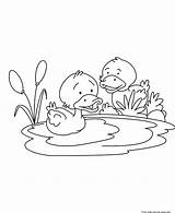 Coloring Duck Baby Printable Pages Childrens Cute Kids Colouring Animal Print Fastseoguru Printables Book Freekidscoloringpage Popular Outline Children Total Views sketch template