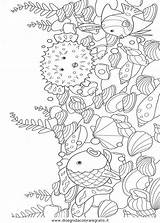 Colorat Ciel Arco Mooiste Kleurplaat Regenbogenfisch Disegno Zee Curcubeu Colorear Arcobaleno Kleurplaten Planse Animale Pestisori Peixe Naturaleza Tegninger Poisson Pez sketch template