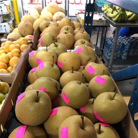asian pears information recipes and facts