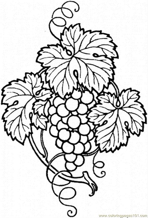 grape leaf colouring pages coloring home