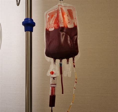 blood transfusion crisis puts   risk doctors jama op ed