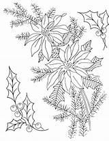 Poinsettia Embroidery Christmas Coloring Patterns Line Vintage Transfers Drawing Hand Printable Pages Holly Pointsettia Pattern Designs Pretty Drawings Floral Print sketch template