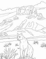 Lion Bend Lions Mountainlion Acadia Narodowy Sketch Drukuj Categorías Supercoloring sketch template