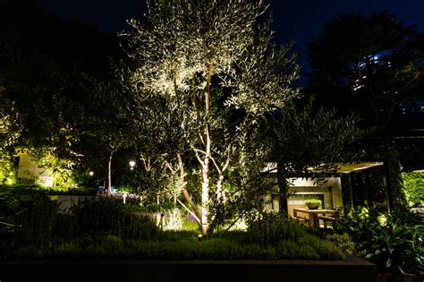 lights  create  night garden completehome