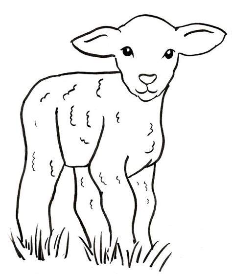 lamb coloring page samantha bell