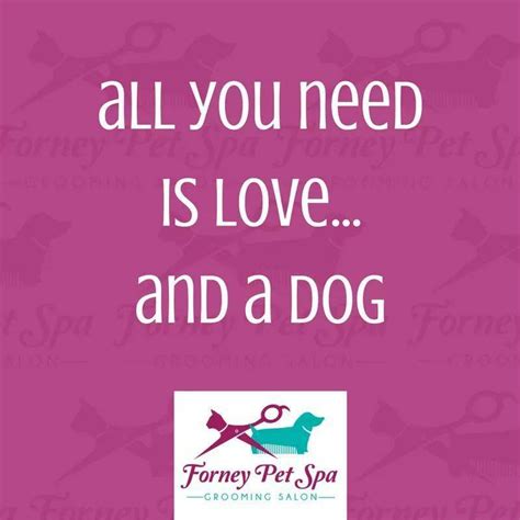 forney pet spa forney tx