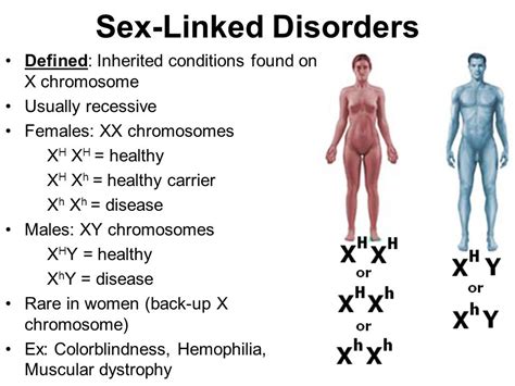 how are sex linked genes inherited