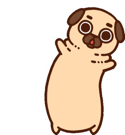 puglie pug puglie sticker puglie pug puglie pug discover share gifs