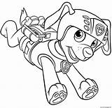 Patrol Paw Zuma Psi Kolorowanki Kleurplaat Kleurplaten Scuba Hund Malvorlagen Gos Hond Polizeihund Skye Pawpatrol Visualartideas sketch template