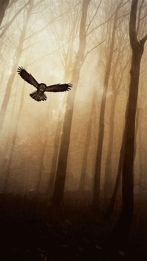 owl forest  iphone wallpapers