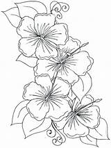 Hibiscus Embroidery Mycoloring Paintingvalley sketch template