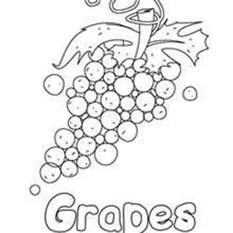 fruit coloring pages coloring pages printable coloring pages