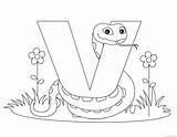 Alphabet Letter Printable Worksheet Coloring Viper Pages Animal Kids Print sketch template