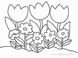 Coloring Plant Popular sketch template