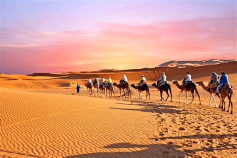 visit regions  moroccos desert kimkim