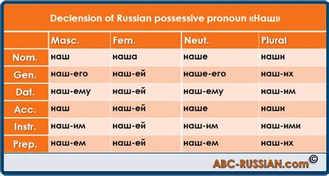 abc russian russian possessive pronouns