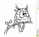 Owl Owls Stuffs Gufo Mandala Hibou Coloration Oiseau Pagine Uccello Coloritura Illustration sketch template