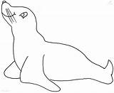 Anjing Mewarnai Laut Otarie Zeehond Phoque Kleurplaten Knutselen Kleurplaat Hitam Putih Sketsa Leeuw Tekening Lucu Coloringbay Untuk sketch template