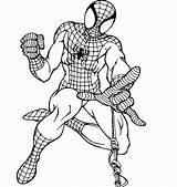 Spiderman Coloring Pages Man Spider Iron Book Kids Colouring Adventures Hero Super Colorist Marvel Adults Clipart Christmas Homecoming Printables Printable sketch template