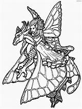 Adults Fairies Clipartmag Dragones Grown Dragón Ridden sketch template
