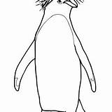 Rockhopper Penguin Coloring 23kb 300px sketch template