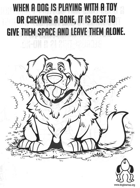 dog safety colouring book dogtownsa