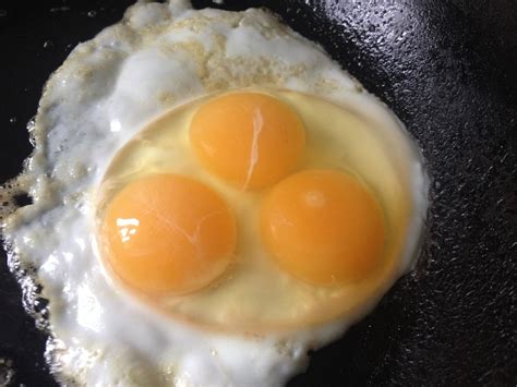 triple yolked eggs