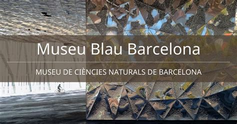 museu blau barcelona museu de ciencies naturals de barcelona