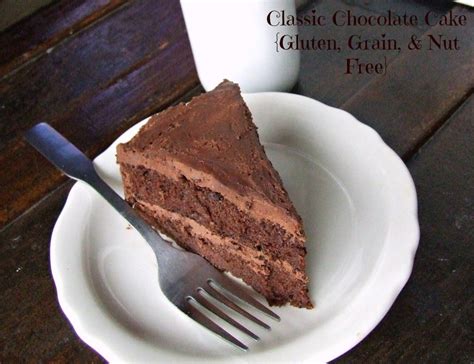 choc cake gluten free chocolate paleo chocolate cake gluten free chocolate cake